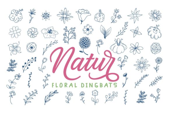 Natur: The Delicate Dingbats Typeface for Campaigns That Pop